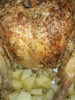Una foto de Pollo sentado a la cerveva