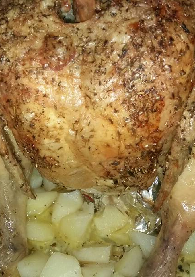 Una foto de Pollo sentado a la cerveva