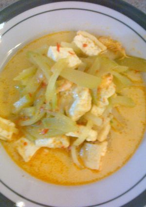 Foto resep Lodeh Labu Siam & Udang