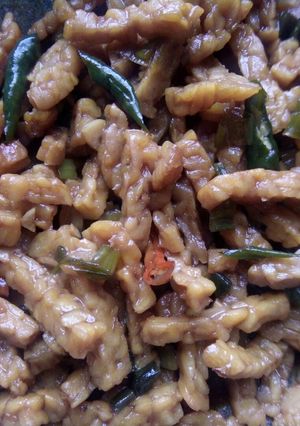 Foto resep Oseng Oseng Tempe