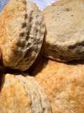 Country style Homemade Biscuits