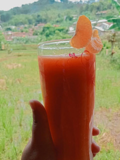 Foto resep Jus woltopel (wortel,tomat,apel)