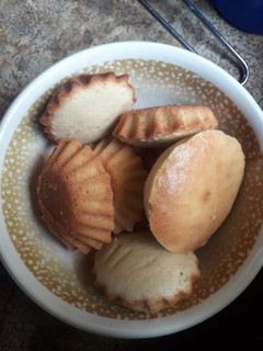 A picture of Vanilla cupcakes.