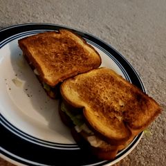 A picture of Veg sandwich.
