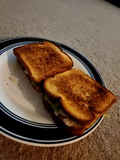 A picture of Veg sandwich.