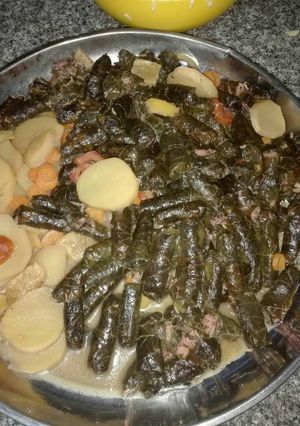 صورة لوصفة يلنجي او ورق عنب بالزيت مع طريقة لف الورق بطريقة سريعه جدا