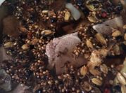 A picture of oxtails in oven