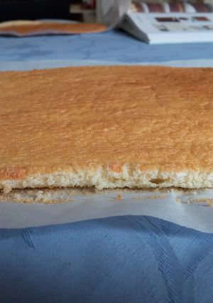 Une photo de Biscuit joconde