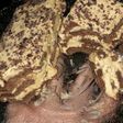 Chocotorta en 3 pasos