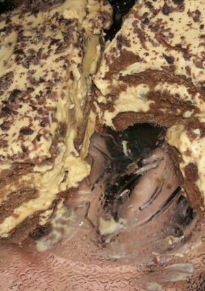 Una foto de Chocotorta en 3 pasos