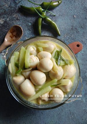 Foto resep Lodeh Telur Puyuh