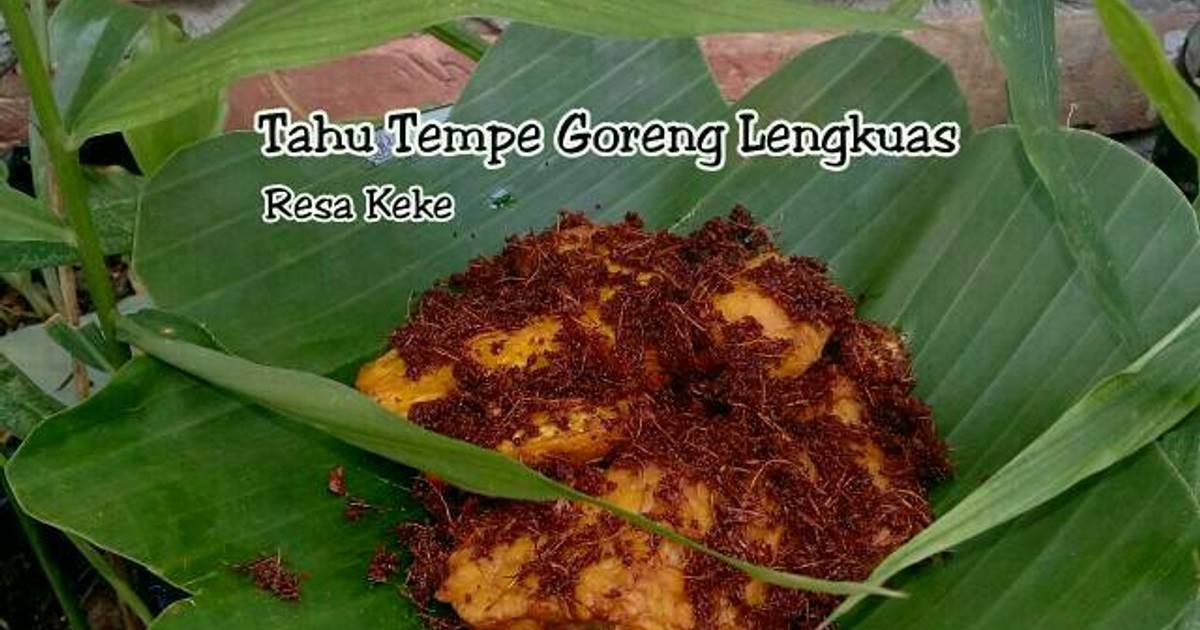  Resep  Tahu  dan Tempe Goreng  Lengkuas oleh Resa Keke Cookpad