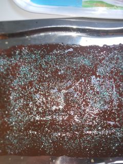 Una foto de Torta de vainilla con dulce de leche bañada en chocolate