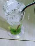 Melon squash