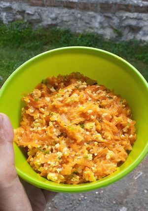 Foto resep Ragout Wortel Ayam