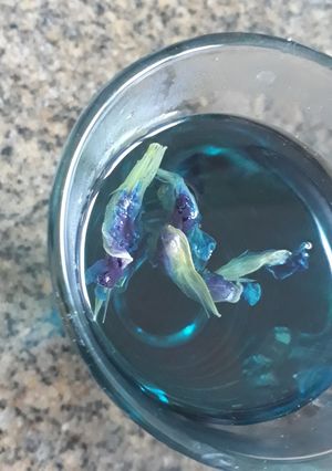 Foto resep Air bunga telang