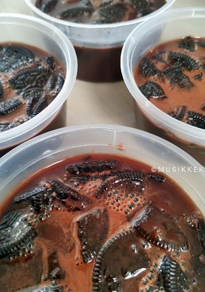 Foto resep PUDING COKLAT SUSU-NUTRIJEL