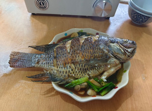 紅燒台灣鯛 的食譜成品照片