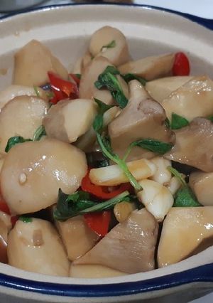 三杯杏鮑菇 的食譜成品照片