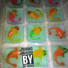 A picture of Puding ikan koi.