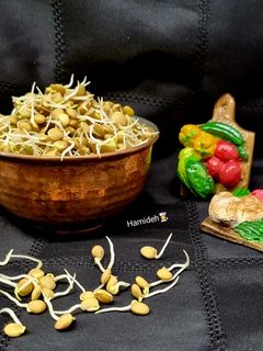 عکسی از دستور جوانه عدس🌱