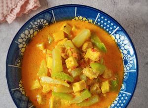Foto resep Sayur Lodeh Manisa (Labu Siam) Tahu Tempe