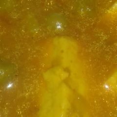 Matar paneer A picture of Matar paneer.