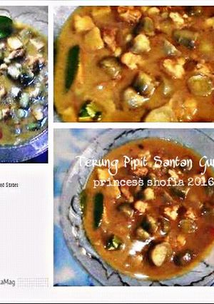 Foto resep Terung Pipit Santan Gurih