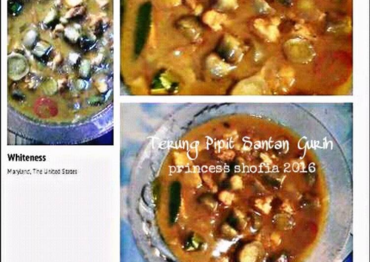 Terung Pipit Santan Gurih