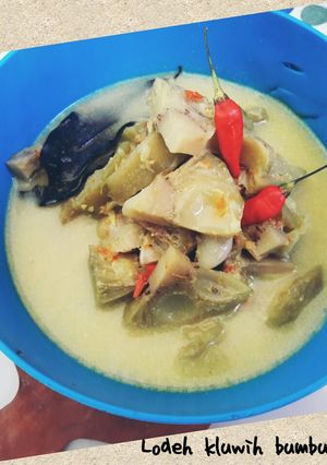 Foto resep Lodeh kluwih ala bumbu emak