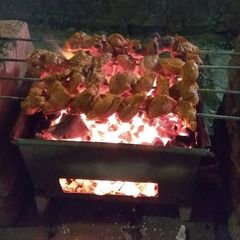 Seekh Kabab (Traditional process) A picture of Seekh Kabab (Traditional process).
