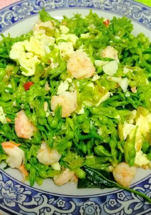 Hình của món Hoa Thiên Lý Xào Tôm Trứng.