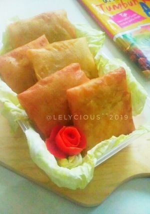 Foto resep Martabak Telur isi Tempe