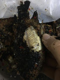 صورة لوصفة السمك المشوي بالمنزل