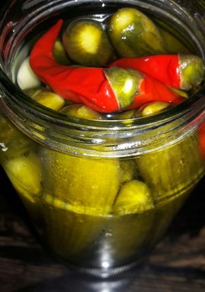 عکسی از دستور خیارشور