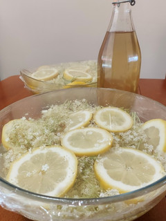 Bodzaszörp recept fotója