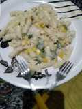 White Sauce Pasta