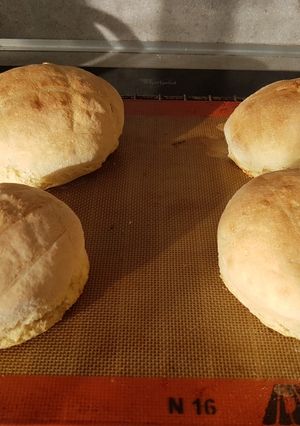 Une photo de Petits pains individuels