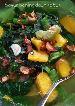 Foto resep Sayur bening daun katuk
