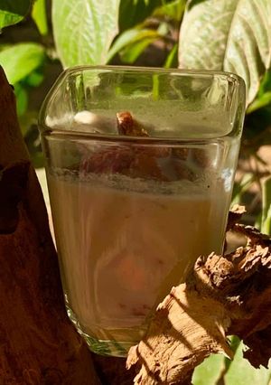 ચીકુ અંજીર નો શેક (Chickoo Anjeer Shake Recipe In Gujarati) રેસીપી મુખ્ય ફોટો