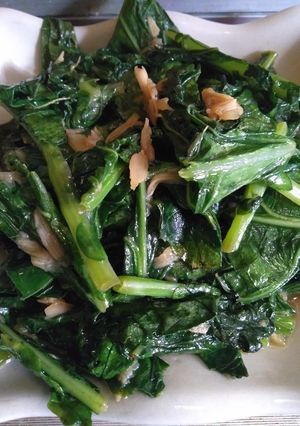 Foto resep Tumis baby kailan