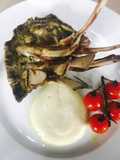Lamb Rack on a bed of cauliflower puree