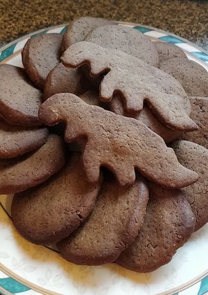 A picture of Victorian ginger biscuits - modernised.
