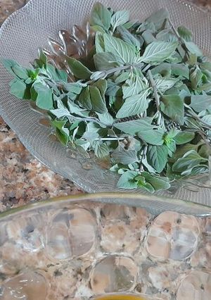 صورة لوصفة نبتة الزعيتمان