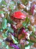 Ricetta light (Orzo, farro, tonno,rucola, pomodori, radicchio e pepe nero)