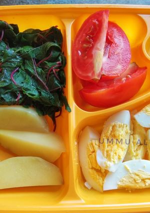 Foto resep DIET MAYO DAY 1 (lunch)