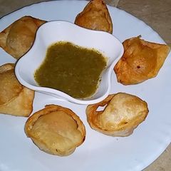 A picture of Wonton.