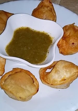 A picture of Wonton.
