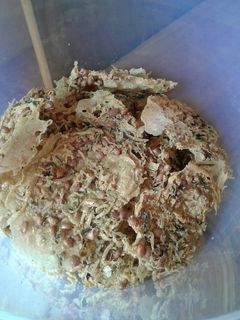 Foto resep Peyek kacang vs teri medan