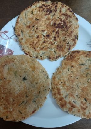 A picture of Oats Bhakri.